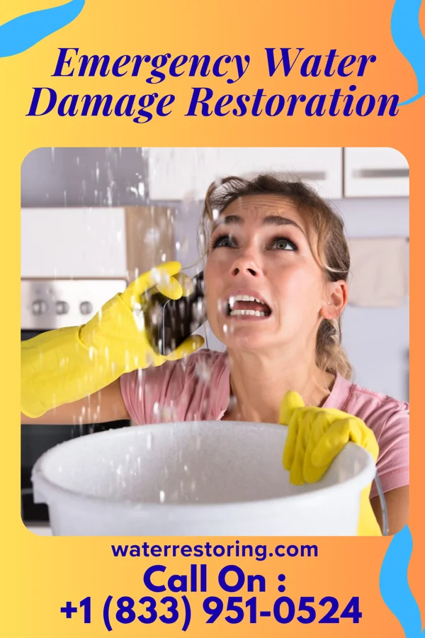 Emergency Water Damage Restoration in Prospect, PA