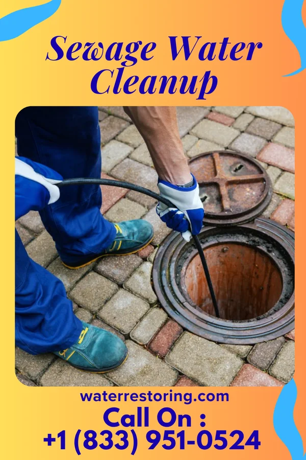 Sewage Water Cleanup in Prospect, PA