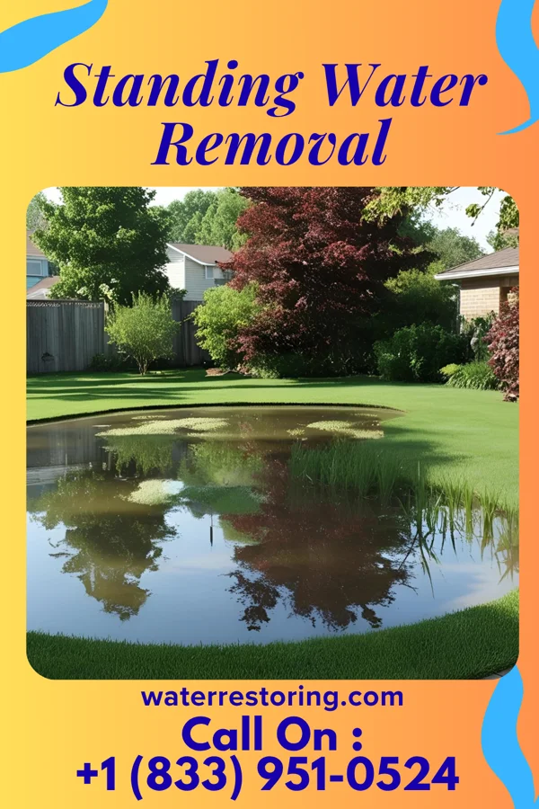 Standing Water Removal in Prospect, PA